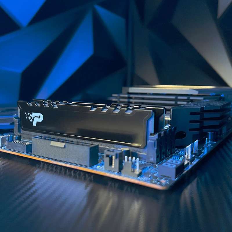 Модуль пам'яті Patriot DDR5 16GB/5600 Signature Line Premium (PSP516G560081H1)