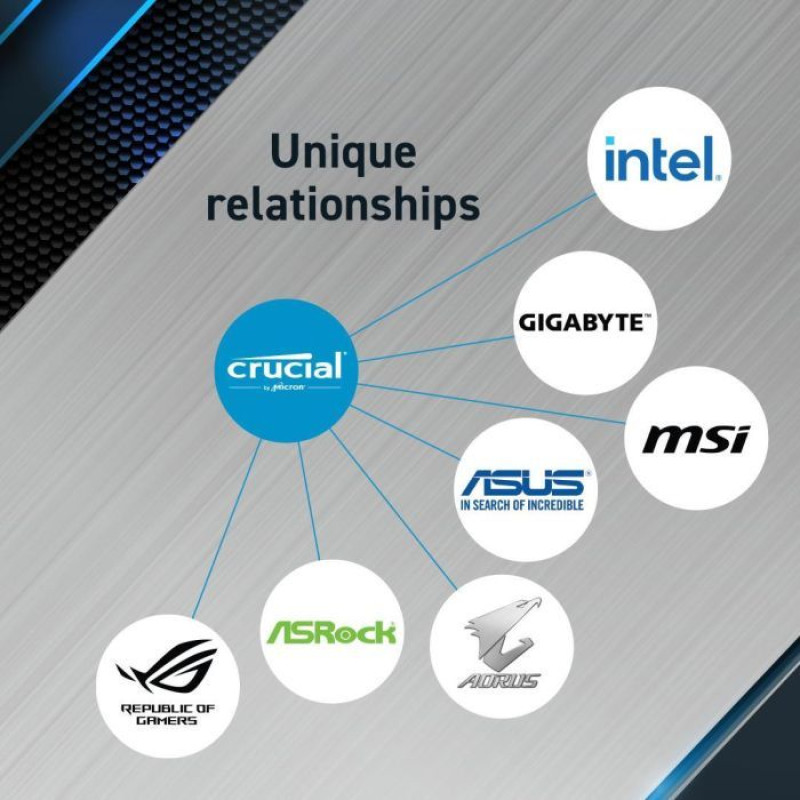 Модуль пам'яті Crucial 32 GB DDR5 5600 MHz Pro OC Gaming (CP32G60C40U5BT)