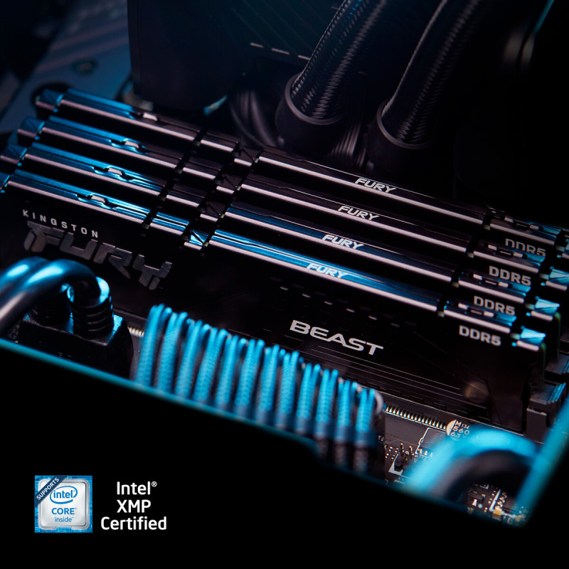 Модуль пам'яті Kingston DDR5 64GB 5600 МГц Beast Black Fury (ex.HyperX) (KF556C40BB-64)