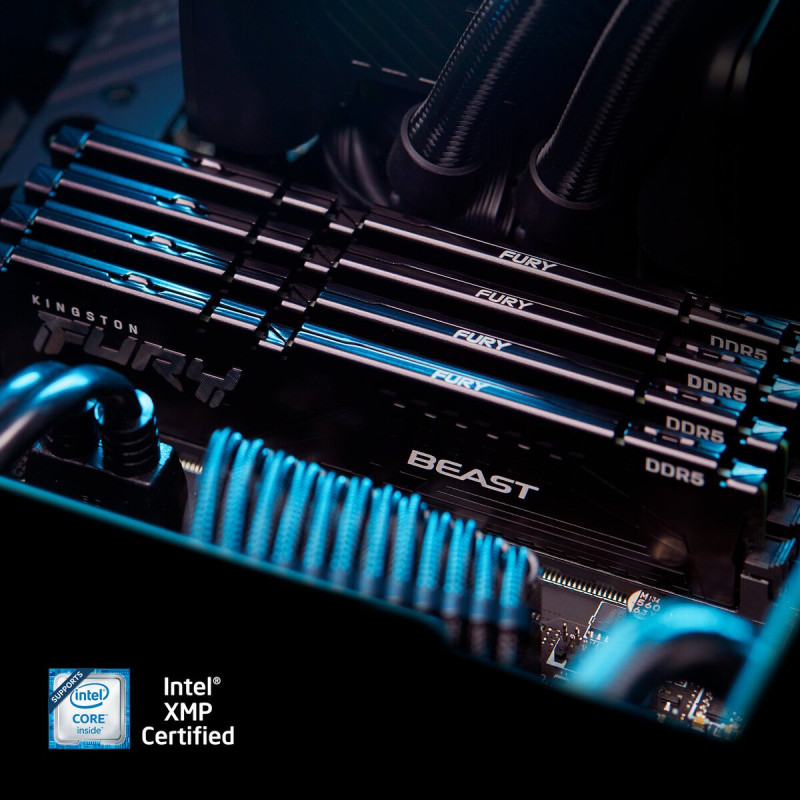 Модуль пам'яті Kingston FURY 8 GB DDR5 6000 MHz Beast Black EXPO (KF560C36BBE-8) 
