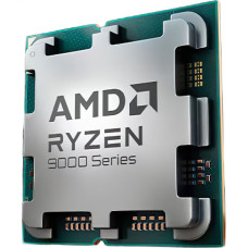 Процесор AMD Ryzen 9 9900X Tray (100-000000662)