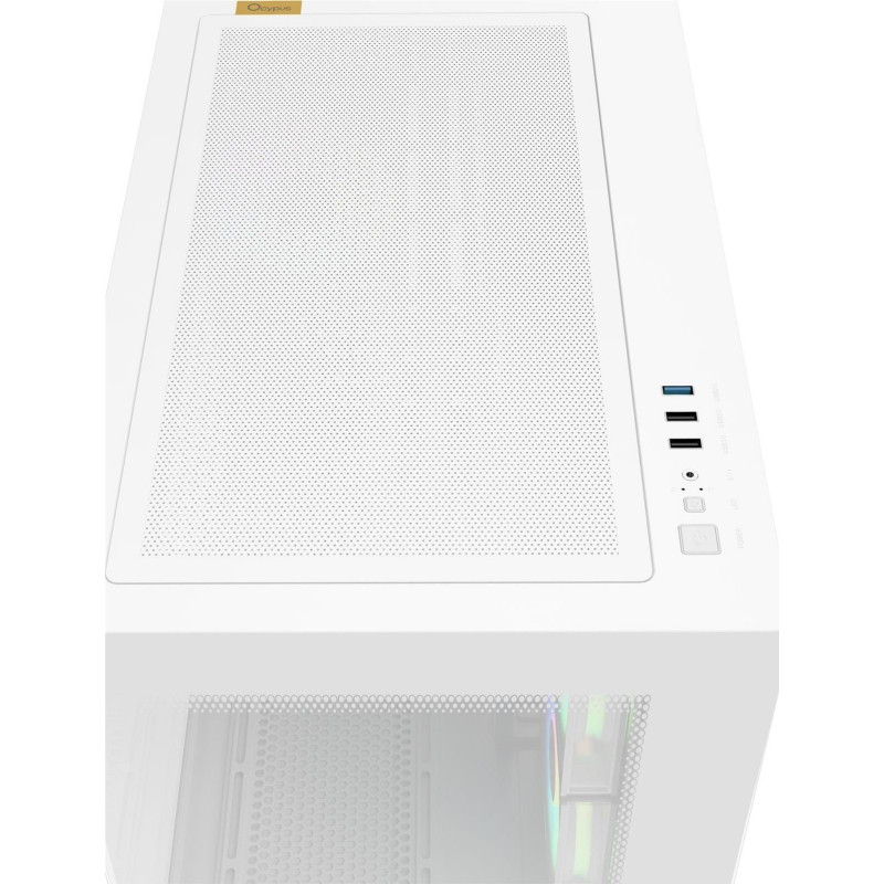 Корпус OCYPUS GAMMA C54 ARGB WH (GAMMA-C54-WHD300XX-GL) 