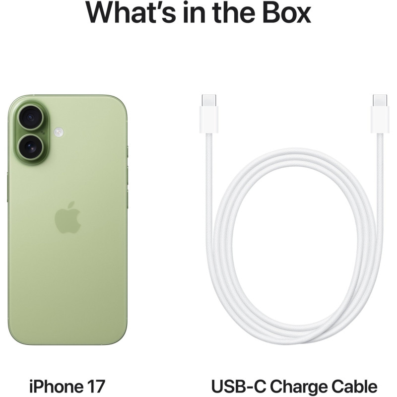 Мобільний телефон Apple iPhone 17 256GB Sage (MG6N4)