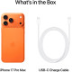 Мобільний телефон Apple iPhone 17 Pro Max 256GB Cosmic Orange (MFYN4)