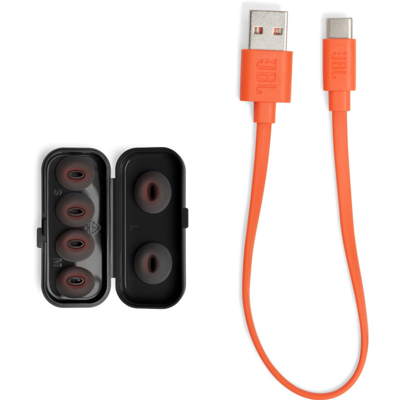 Навушники JBL Tune Flex Black (JBLTFLEXBLK)