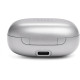 Навушники JBL Live Flex Silver (JBLLIVEFLEXSVR)