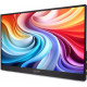 Монітор Acer PM161QB1BMIUUX (UM.ZP1EE.101)