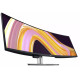 Монітор DELL U4924DW (210-BGTX)