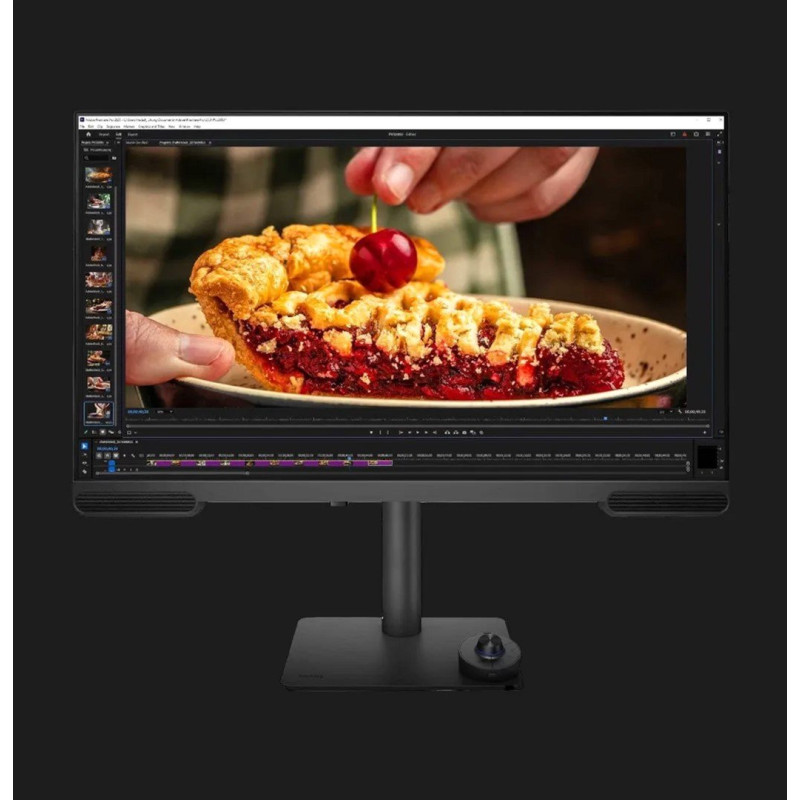 Монітор BENQ PV3200U Dark Grey (9H.Y01LA.TBE)
