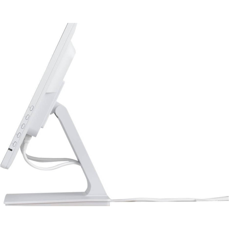 Монітор Iiyama ProLite T2452MSC-W1