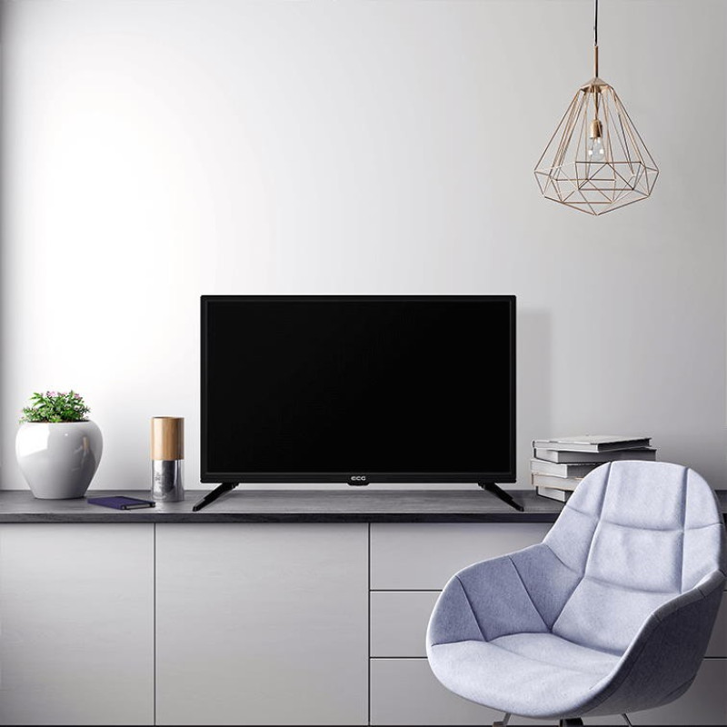 Телевізор ЕКГ 24 H05T2S2