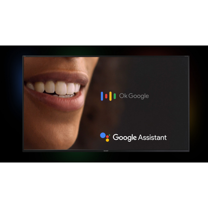 Телевізор Sharp 4T-C50FP1EL2AB