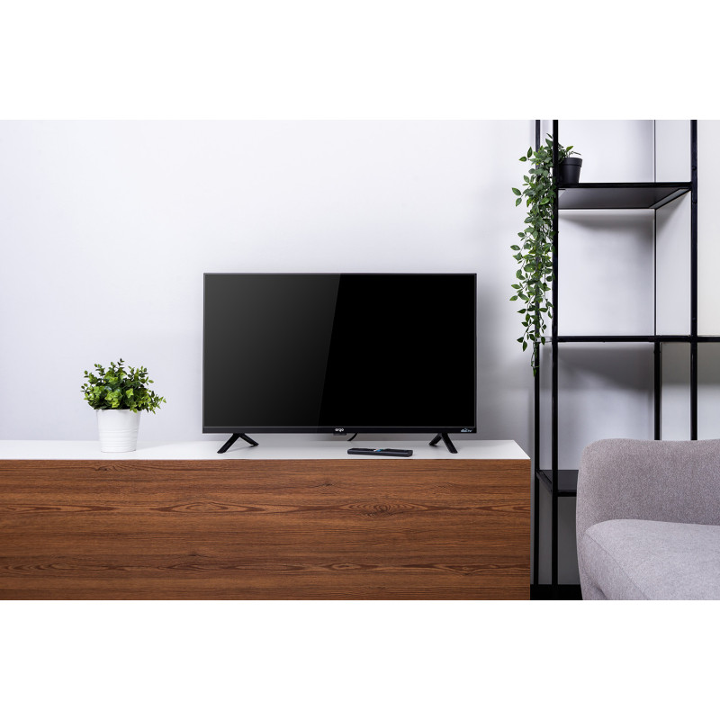 Телевізор Ergo 32GFS6500