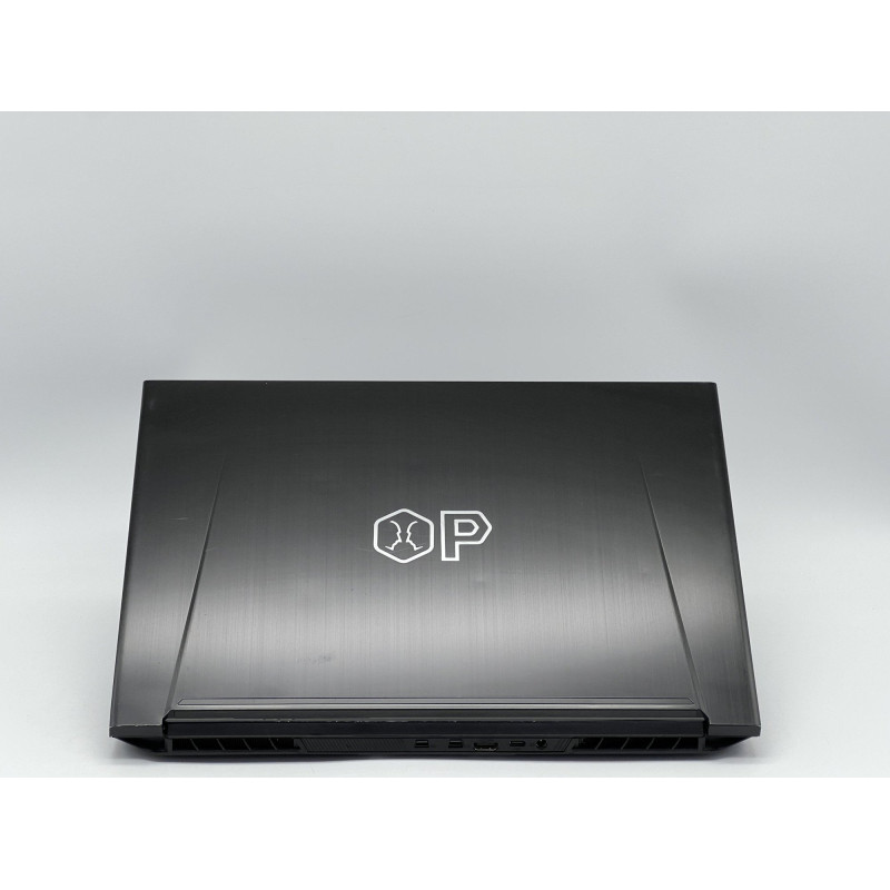 Ноутбук OVERPOWERED OP-LP2, i7-8750H, 16 GB, 480 GB, NVIDIA GeForce GTX 1060, 1920x1080, IPS [SH26031366] БУ