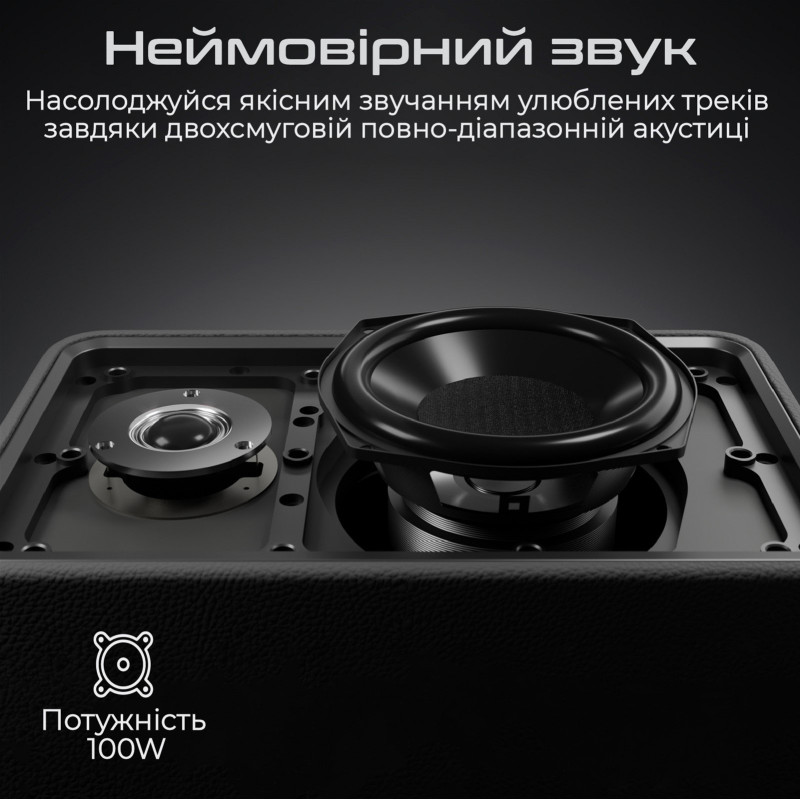 Портативна акустика HiFuture Passion X Black (passion-x.black)